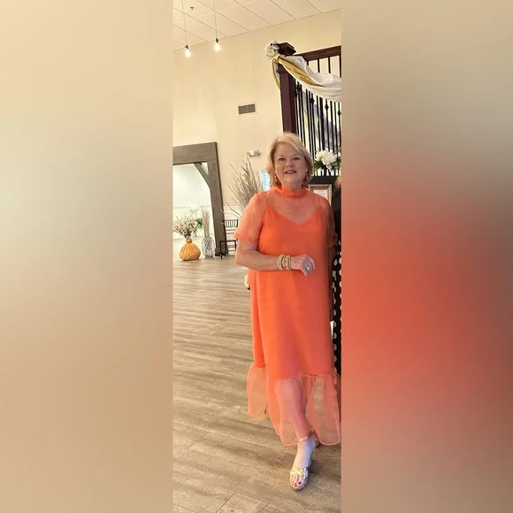 BHLDN Charlotte Short-Sleeve Organza Midi Dress size XL - Picture 3 of 10